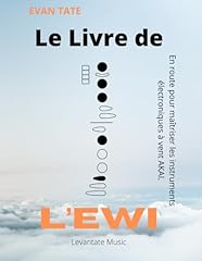 Livre ewi maîtrise d'occasion  Livré partout en France