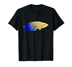 Feminus wrasse saltwater for sale  Delivered anywhere in UK