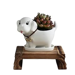 Jaeyitfu cute dog for sale  Delivered anywhere in USA 