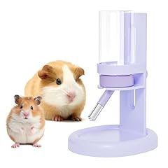 Mini moe hamster for sale  Delivered anywhere in USA 