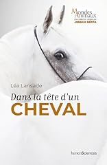 Tête cheval d'occasion  Livré partout en France
