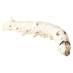 Livefoods4u live silkworms for sale  Delivered anywhere in Ireland