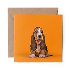 Greeting card basset for sale  Delivered anywhere in UK
