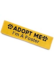 Adopt foster dog for sale  Delivered anywhere in USA 