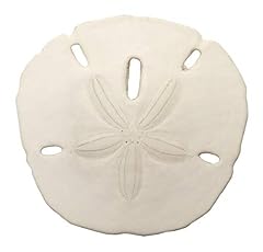 South beach crafts for sale  Delivered anywhere in USA 