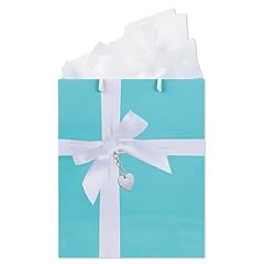 Havercamp turquoise big for sale  Delivered anywhere in USA 