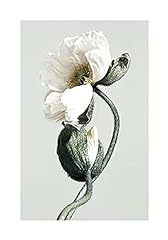 Fresh Plant Picture Wall Art Canvas Painting Minimalist for sale  Delivered anywhere in Canada