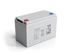 Fiamm 12fgl100 batteria usato  Spedito ovunque in Italia 
