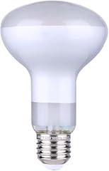 Daylightitalia lampadina ricam usato  Spedito ovunque in Italia 