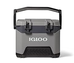 Igloo bmx gray for sale  Delivered anywhere in USA 