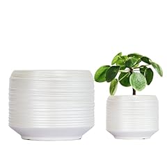 Gepege inch inch for sale  Delivered anywhere in USA 