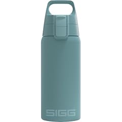 Sigg insulated water for sale  Delivered anywhere in UK