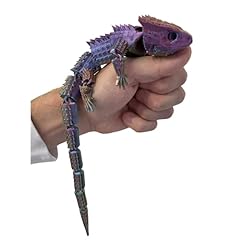 Large reptile fidget for sale  Delivered anywhere in UK