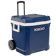 Igloo quart maxcold for sale  Delivered anywhere in USA 