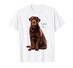 Chocolate labrador retriever for sale  Delivered anywhere in USA 