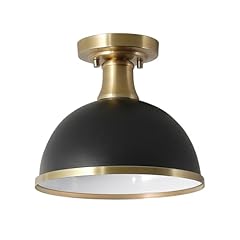 Globe electric 60461 for sale  Delivered anywhere in USA 