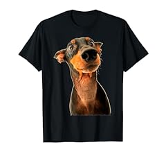Mini doberman pinscher for sale  Delivered anywhere in USA 