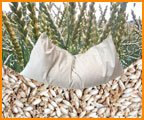 Cuscino farro biologico usato  Spedito ovunque in Italia 
