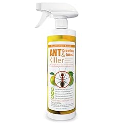 Ecoraider natural ant for sale  Delivered anywhere in UK