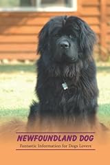 Newfoundland dog fantastic for sale  Delivered anywhere in UK