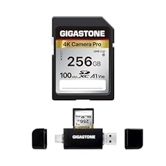 Gigastone scheda 256 usato  Spedito ovunque in Italia 