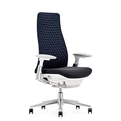 Haworth fern ergonomic for sale  Delivered anywhere in USA 