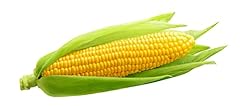 Sweetcorn plants earlibird for sale  Delivered anywhere in UK