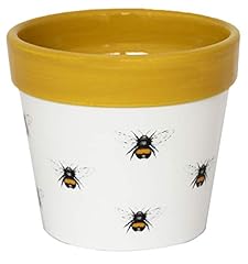 Ivyline cacti planter for sale  Delivered anywhere in UK