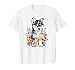 Husky regalo bambino usato  Spedito ovunque in Italia 