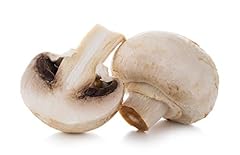 Funghi champignon già usato  Spedito ovunque in Italia 
