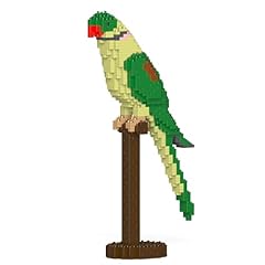 Jekca alexandrine parrot for sale  Delivered anywhere in USA 