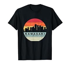 Vintage kawasaki skyline for sale  Delivered anywhere in USA 