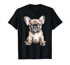 Chiot bouledogue français d'occasion  Livré partout en France