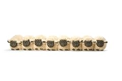 Sheep draught excluder for sale  Delivered anywhere in UK