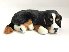 Perfect petzzz hundewelpe gebraucht kaufen  Wird an jeden Ort in Deutschland