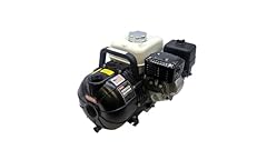 Pacer pumps 200 for sale  Delivered anywhere in USA 