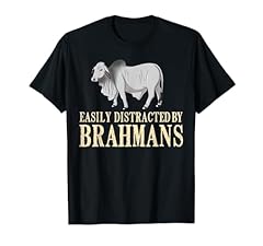Brahman bull cattle for sale  Delivered anywhere in USA 