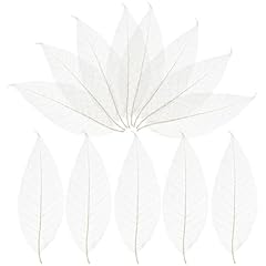 Offsch 100pcs skeleton for sale  Delivered anywhere in UK