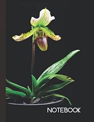 Paphiopedilum orchid lover d'occasion  Livré partout en France