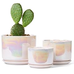 Efispss plant pots for sale  Delivered anywhere in USA 