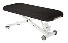 Earthlite electric massage for sale  Delivered anywhere in USA 