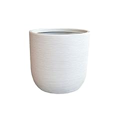 Vasar vaso portavaso usato  Spedito ovunque in Italia 