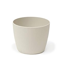 Flowerpot herb plant for sale  Delivered anywhere in UK