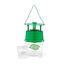 Plantpro box tree for sale  Delivered anywhere in UK