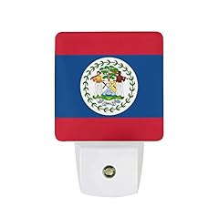 Flag belize night for sale  Delivered anywhere in UK