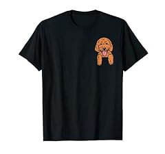 Goldendoodle pocket cute for sale  Delivered anywhere in USA 
