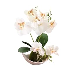 Aisamco fleurs orchidées d'occasion  Livré partout en France
