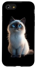 Chat sacré birmanie d'occasion  Livré partout en France