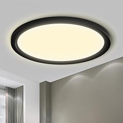 Lqwell deckenleuchte led gebraucht kaufen  Wird an jeden Ort in Deutschland