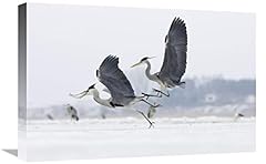 Grey heron pair for sale  Delivered anywhere in UK